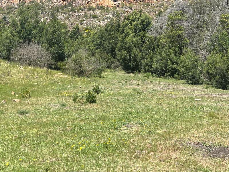 0 Bedroom Property for Sale in George Rural Western Cape